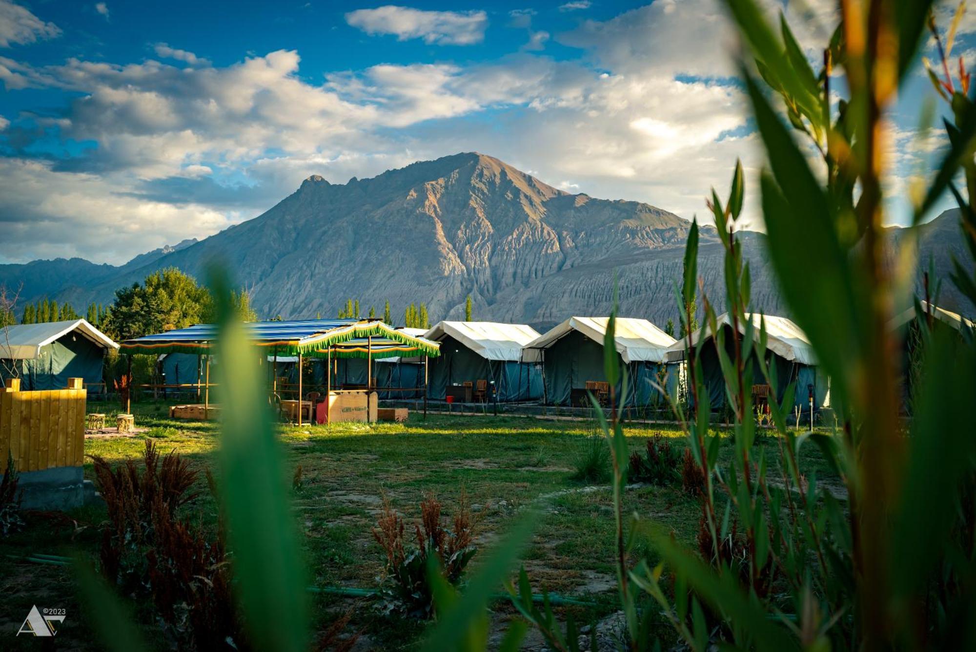 Green Throne Camp Bed & Breakfast Leh Luaran gambar